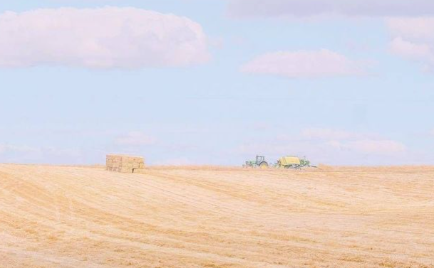 抑郁的躯体化症状有哪些